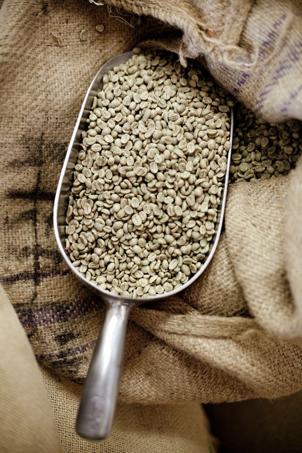 Guji Coffee Region