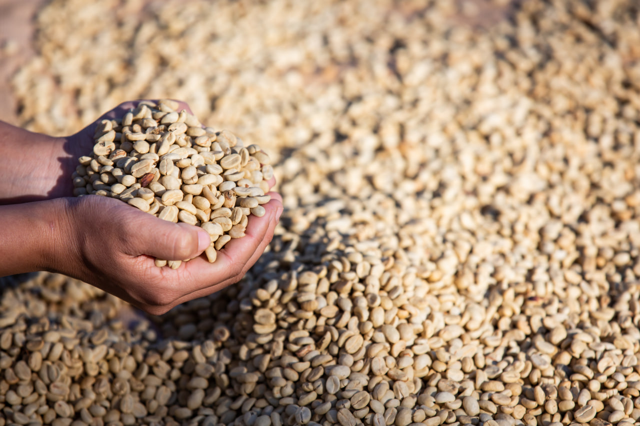 Coffee Processing